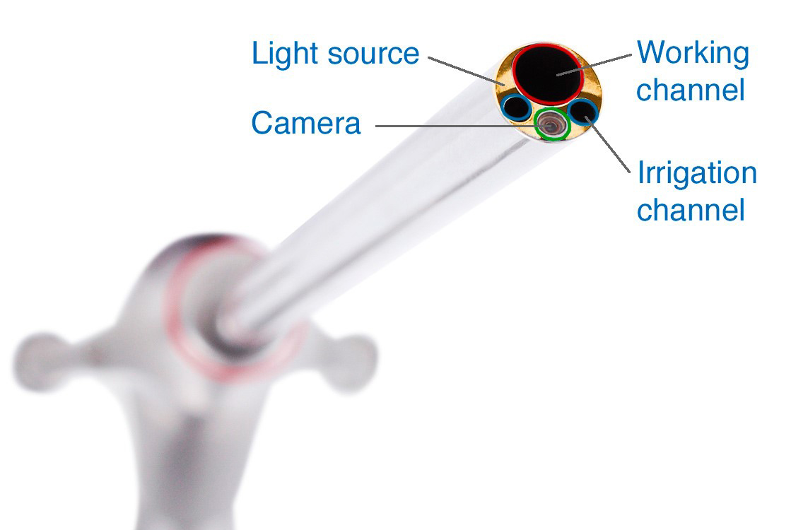 Surgical Endoscope